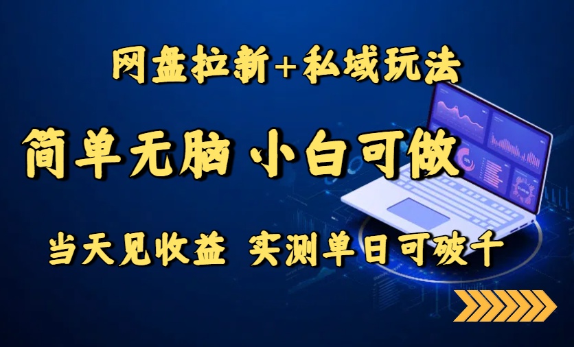 网盘拉新+私域玩法，简单无脑，小白可做，当天见收益，实测单日可破千-云网创