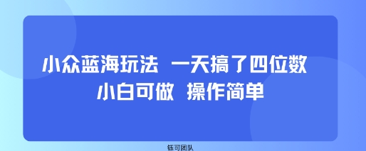 小众蓝海玩法 一天搞了四位数 小白可做 操作简单-云网创