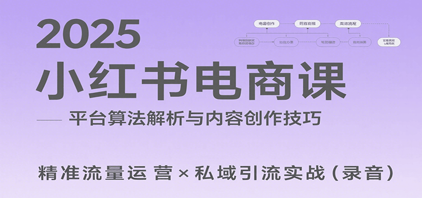 2025小红书电商课：解析算法，创作高转化内容，助力卖家获取流量实现变现(录音)-云网创