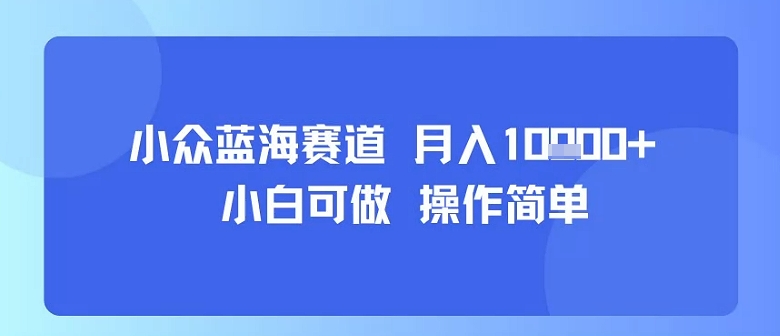 小众蓝海赛道，小白可做，操作简单，每天30分钟，月入1W+-云网创