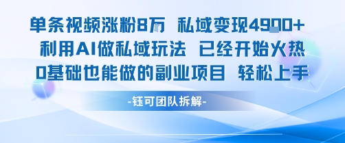 单条视频私域变现4.9k+利用AI做私域玩法 已经开始火热0基础也能做的副业项目轻松上手-云网创