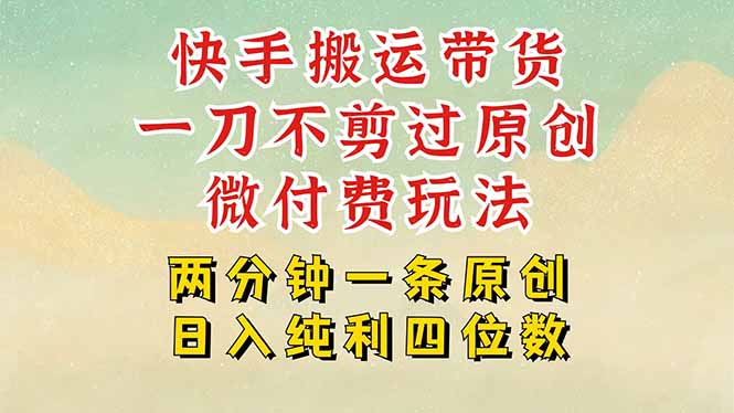 快手黑科技搬运带货，一刀不剪过原创，微付费投流玩法，轻松日入四位数…-云网创