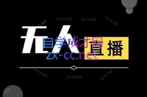 宝子哥·无人直播-非实时防风技术(更新7月)-云网创