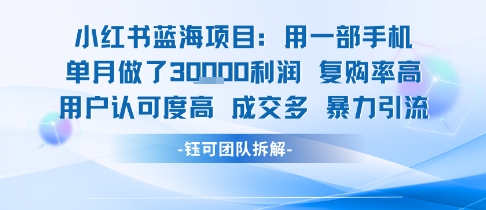 小红书蓝海项目，一部手机单月做了3W利润，小白也能月入过1W用户认可度高成交多-云网创