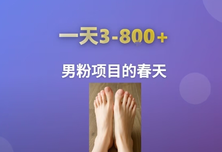 AI一键生成美女素材，一天收益3-8张，男粉项目的春天-云网创