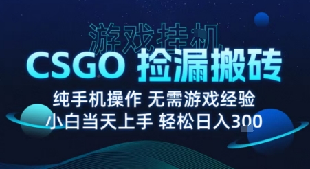 8月最新游戏搬砖，CSGO纯挂G，不需要玩游戏，实现真挂G，月入1W+【揭秘】-云网创
