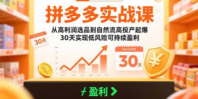 拼多多实战课：从高利润选品到自然流高投产起爆 30天实现低风险可持续盈利-云网创