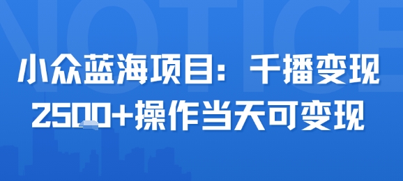 小众蓝海项目，千播变现2.5k+操作当天可变现-云网创