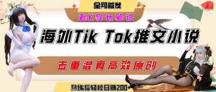 海外tiktok小说推文暴力项目，高停留率，高转化率，上手后一天搞顿饭钱不是问题-云网创