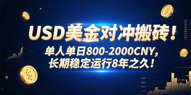 USD美金对冲搬砖!单人单日800-2000CNY，长期稳定运行8年之久!-云网创