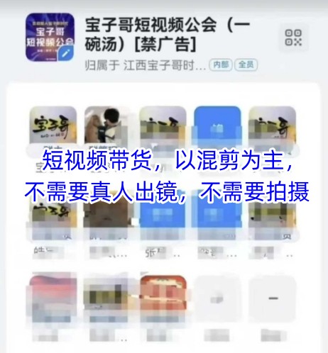 宝子哥头部团队短视频带货，以混剪为主，不需要真人出镜，不需要拍摄【更新8月】-云网创