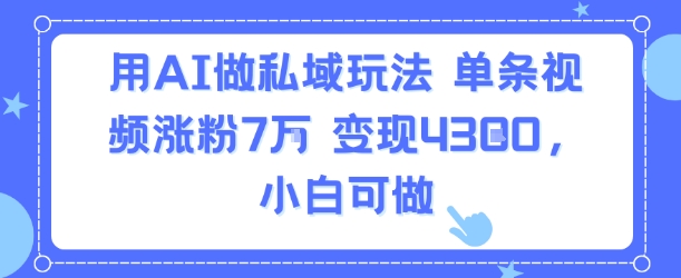 用AI做私域玩法，单条视频涨粉7W变现4.3k，小白可做-云网创