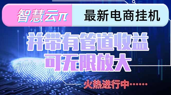 智慧云π电脑挂机单机每天收益300—500+ 并带有团队管道收益 可无限放大-云网创