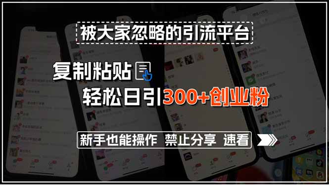 被大家忽略的引流平台，复制粘贴轻松日引300+创业粉，新手也能操作，禁…-云网创