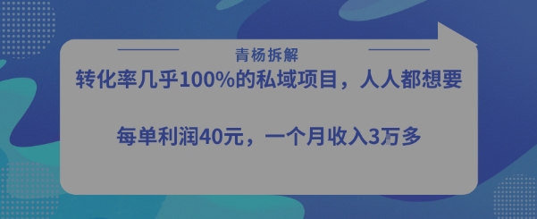 转化率最高的私域项目，每单利润40-50米，月入过1w-云网创