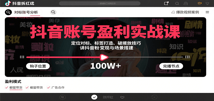抖音账号盈利实战课，定位对标、标签打造、破播放技巧，讲涨粉变现与场景搭建-云网创