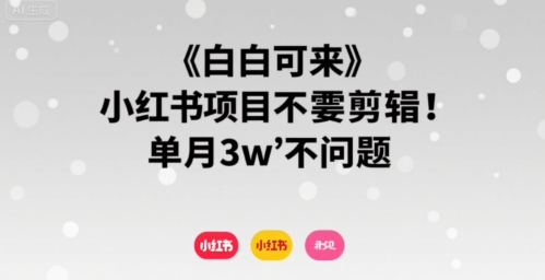 小白可来 小红书项目不需要剪辑 单月3w不是问题-云网创