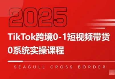 大亿老师·TikTok跨境0-1短视频带货-云网创