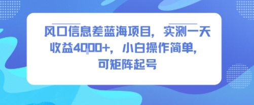 风口信息差蓝海项目，实测一天收益4k+，小白操作简单，可矩阵起号-云网创