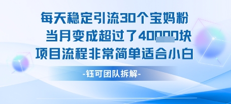 每天稳定引流30个人 当月变成超过了4个W项目流程非常简单适合小白-云网创