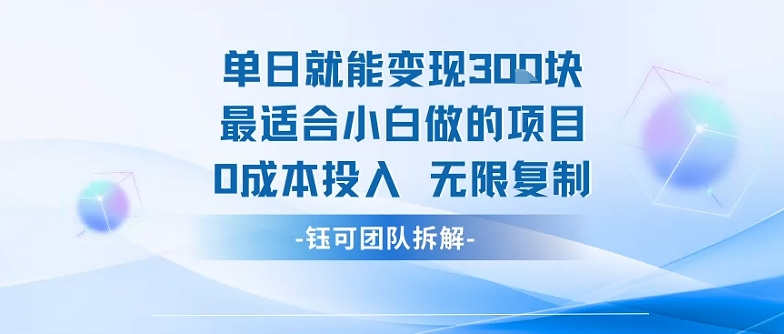 单日就能变现3张最适合小白做的项目0成本投入 无限复制-云网创