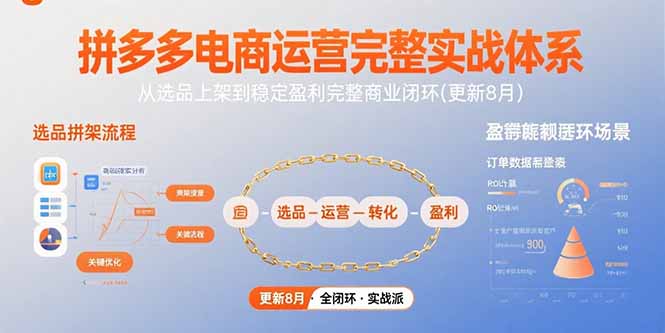 拼多多电商运营完整实战体系，从选品上架到稳定盈利完整商业闭环(更新8月-云网创