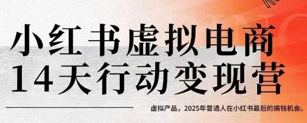 小红书虚拟电商14天变现训练营，虚拟产品，2025年普通人在小红书最后的搞钱机会-云网创