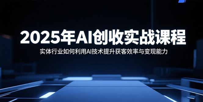 2025年AI创收实战课程：实体行业如何利用AI技术提升获客效率与变现能力-云网创