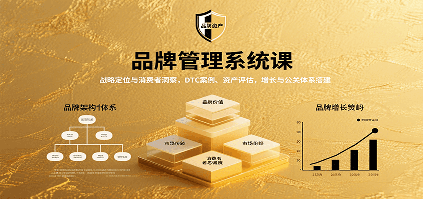 品牌管理系统课：战略定位与消费者洞察，DTC案例、资产评估，增长与公关体系搭建-云网创