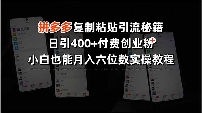 拼多多复制粘贴引流秘籍，日引400+付费创业粉，小白也能月入六位数实操…-云网创