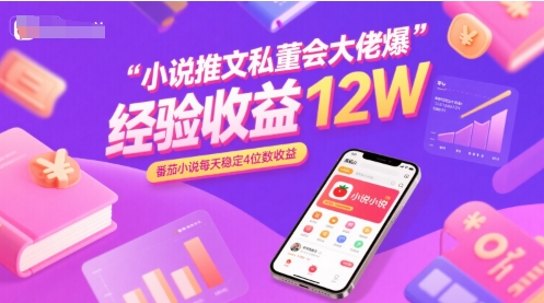 小说推文私董会大佬爆单经验分享收益12W，番茄小说每天稳定4位数收益-云网创