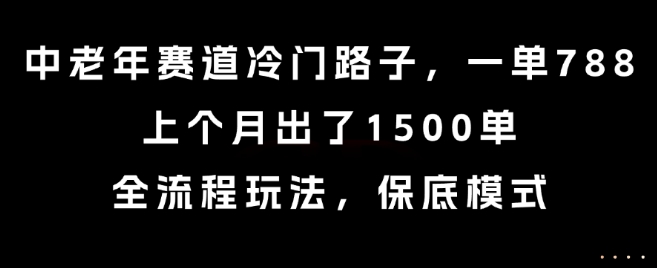 中老年赛道冷门路子，一单788，上个月出了1500单，全流程玩法，保底模式【揭秘】-云网创