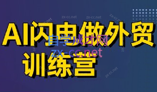 大卫·AI闪电做外贸训练营(更新7月)-云网创