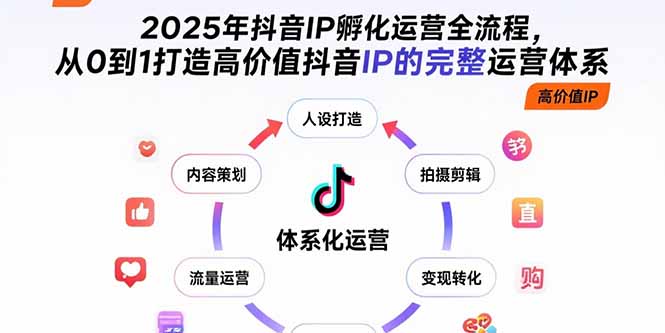 2025年抖音IP孵化运营全流程，从0到1打造高价值抖音IP的完整运营体系-云网创