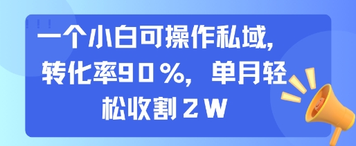 一个小白可操作私域，转化率90%，单月轻松收割2W-云网创