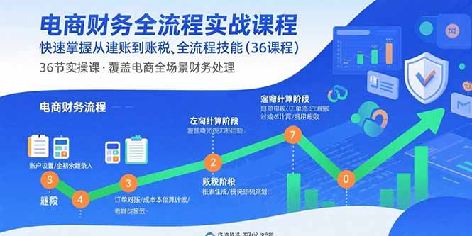电商财务全流程实战课程：快速掌握从建账到报税的全流程技能(36节课-云网创