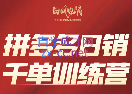 白凤电商·拼多多日销千单训练营(更新7月)-云网创