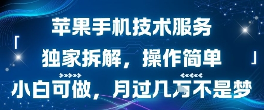 苹果手机技术服务，独家拆解，操作简单，小白可做，月过1W不是梦-云网创