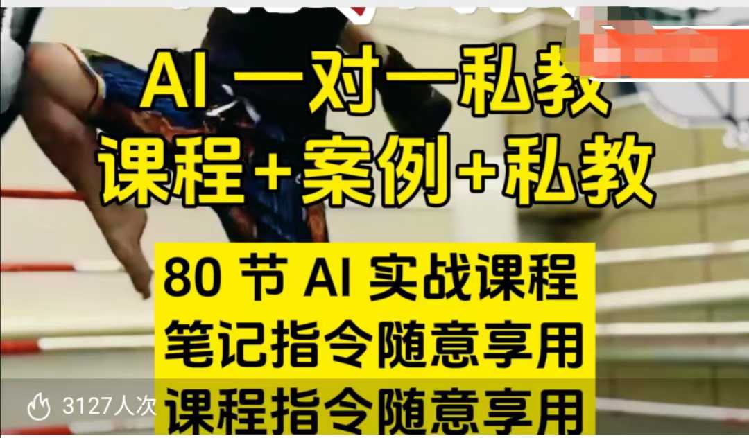 AI指令实战课，课程+案例，80节AI实战课程，笔记指令随意享用，课程指令随意享用(更新7月)-云网创
