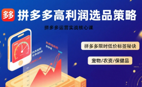 久号老师·拼多多选品暴利技术实战课-云网创