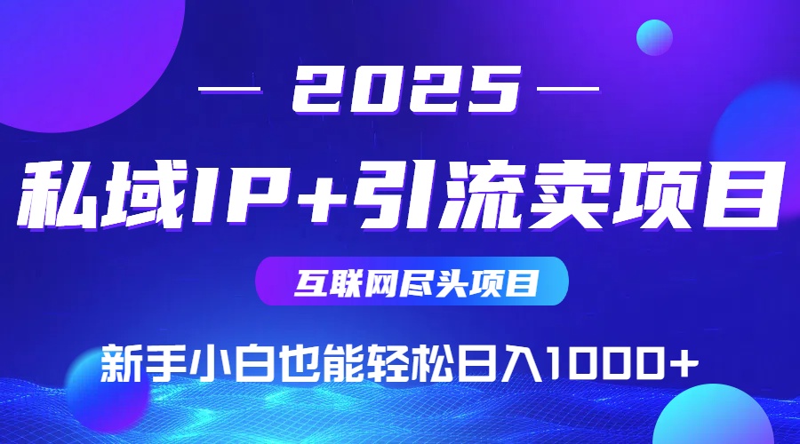 2025网创尽头项目，私域IP+引流，新手小白也能在家日入1000+-云网创