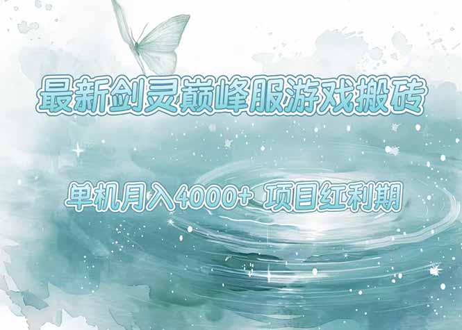 最新剑灵巅峰服游戏搬砖，项目红利期，单机稳定4000+操作简单好上手-云网创