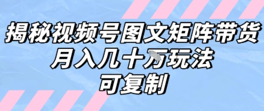 解密视频号图文矩阵带货，月入几个W的打法，可复制-云网创