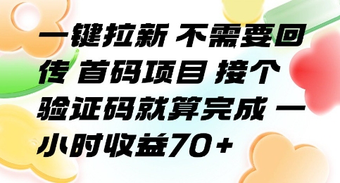 一键拉新 不需要回传 首码项目 接个验证码就算完成 一小时收益70+【揭秘】-云网创