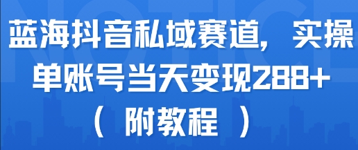 蓝海抖音私域赛道，实操单账号当天变现288+(附教程)-云网创