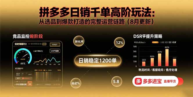 拼多多日销千单高阶玩法：从选品到爆款打造的完整运营链路(8月更新-云网创